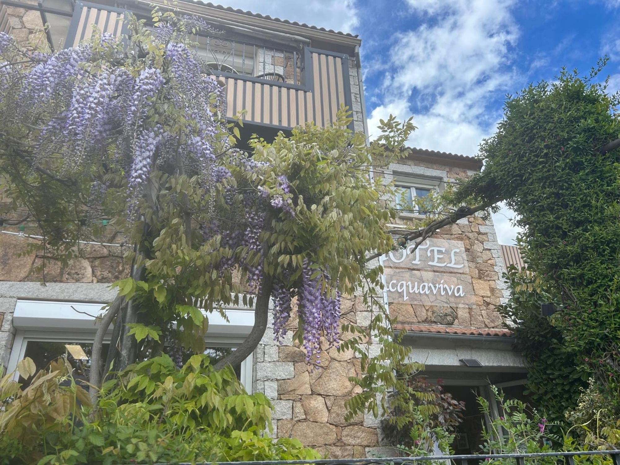 Hotel L'Acqua Viva Calacuccia Zewnętrze zdjęcie